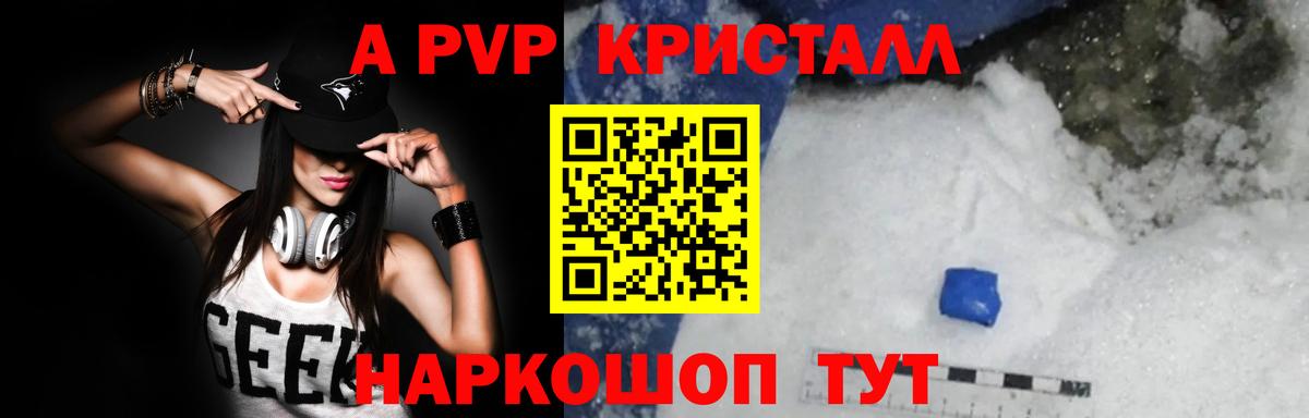 A PVP СК КРИС Оренбург