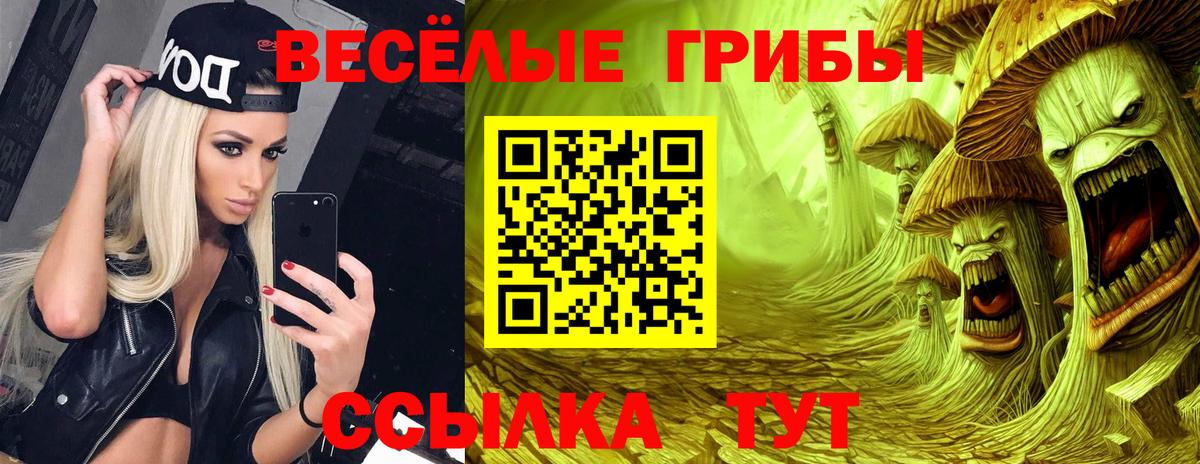 купить закладку  Вход с VPN  Псилоцибиновые грибы GOLDEN TEACHER  Оренбург  Галлюциногенные грибы мицелий 